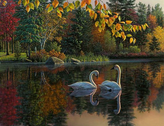 Swans a Swimmin' Painting by Number Kit | 12 Days of Christmas Gift Ideas
